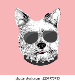 Yorkshire Terrier portrait, Cute cool dog in glasses, Vector illustration.