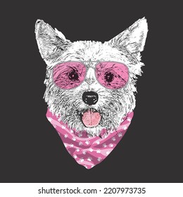 Yorkshire Terrier portrait, Cute cool dog in glasses and bandana, Vector illustration.