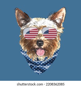 Yorkshire Terrier portrait, Cute cool dog in USA flag glasses and bandana, Vector illustration.