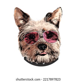 Yorkshire Terrier portrait, Cute cool dog in glasses, Vector illustration.