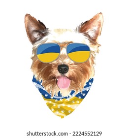 Yorkshire Terrier portrait, Cute cool dog in Ukraine flag glasses and bandana, Vector illustration.