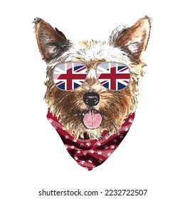 Yorkshire Terrier portrait, Cute cool dog in UK flag glasses and bandana, Vector illustration.