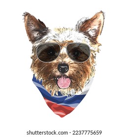 Yorkshire Terrier portrait, Cute cool dog in glasses and Russia flag bandana, Vector illustration.