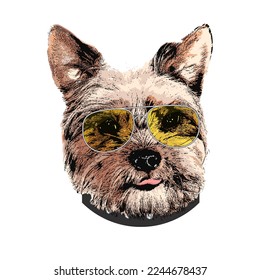 Yorkshire Terrier portrait, Cute cool dog in glasses, Vector illustration.