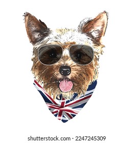 Yorkshire Terrier portrait, Cute cool dog in glasses and UK flag bandana, Vector illustration.