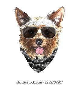 Yorkshire Terrier portrait, Cute cool dog in glasses and bandana, Vector illustration.