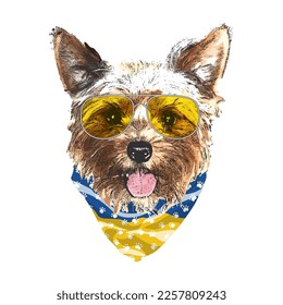 Yorkshire Terrier portrait, Cute cool dog in glasses and Ukraine flag bandana, Vector illustration.