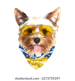 Yorkshire Terrier portrait, Cute cool dog in glasses and Ukraine flag bandana, Vector illustration.