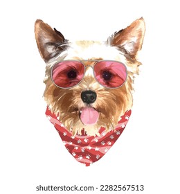 Yorkshire Terrier portrait, Cute cool dog in glasses and bandana, Vector illustration.