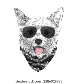 Yorkshire Terrier portrait, Cute cool dog in glasses and bandana, Vector illustration.