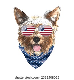 Yorkshire Terrier portrait, Cute cool dog in USA flag glasses and bandana, Vector illustration.