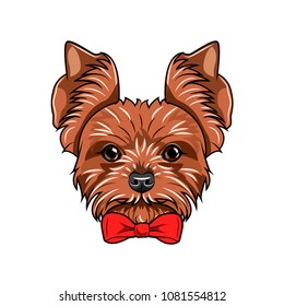 Yorkshire terrier portrait. Decorative Bow. Red Bow. Dog breed. Vector illustration