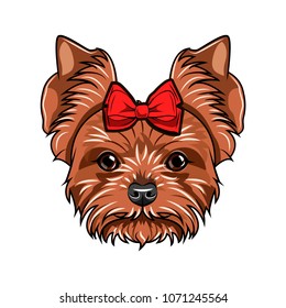 Yorkie Cartoon Pictures : Free download cartoon pictures, cartoon