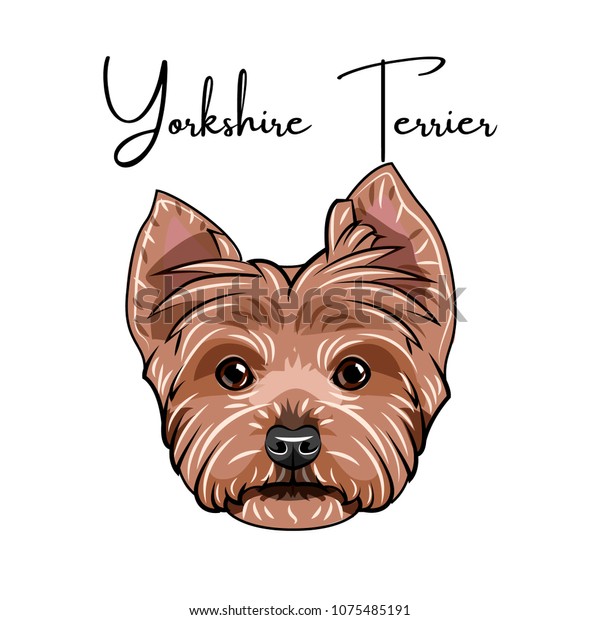 free yorkshire terrier
