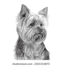 Yorkshire terrier portrait sketch hand drawn in doodle style Pets illustration