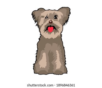 Ilustración del vector de cachorros de Yorkshire Terrier. Perro aislado