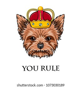 Yorkshire Terrier Queen. Crown. Dog king. You rule text. Vector illustration