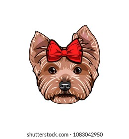 Yorkshire terrier with red bow. Yorkshire terrier dog breed. Dog portrait. Decorative red bow. Vector illustration.