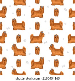 Yorkshire Terrier seamless pattern. Different poses, coat colors set.  Vector illustration