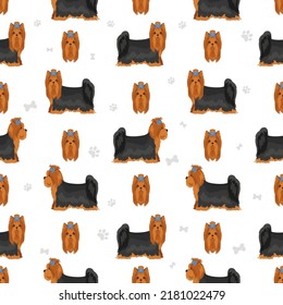 Yorkshire Terrier seamless pattern. Different poses, coat colors set.  Vector illustration