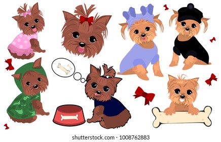 Yorkshire terrier set. Yorkie dog isolated vector.