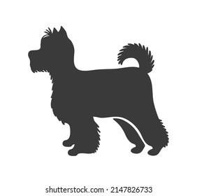 Yorkshire terrier silhouette. Personality training species dog silhouett, vector icon isolated on white background