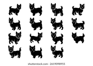 Yorkshire Terrier Silhueta Vetor Conjunto Grupo de Coleção de Poses Diferentes