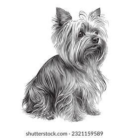 Dibujo de Yorkshire terrier mano dibujado en forma de doodle Dibujo de mascotas