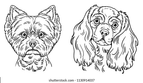 yorkshire terrier and spaniel  outline