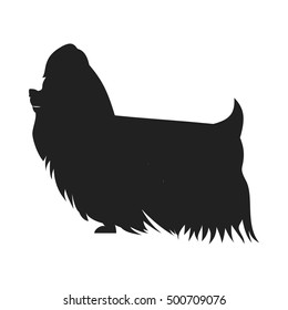 Yorkshire Terrier Vector Black SSilhouette