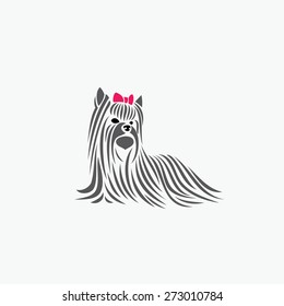 Yorkshire terrier - vector illustration
