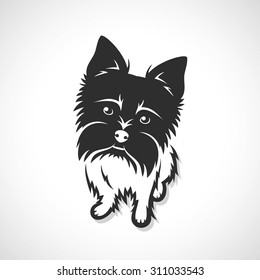 Yorkshire terrier - vector illustration
