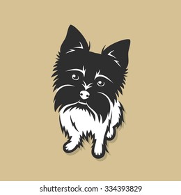 Yorkshire terrier - vector illustration
