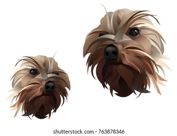 Yorkshire terrier vector illustration. Brown haired dog isolated. Lines and shapes. Black nose and eyes. White background. Animal, pet print for marketing, poster, design images. Two sides portrait