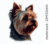 Yorkshire Terrier vector portrait hand draw. Colours bright dog on gray background isolated.