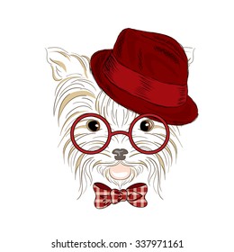 Yorkshire Terrier in the vector. Puppy in a hat and sunglasses . Hand drawing of a dog .
