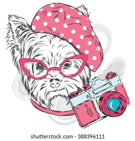 Yorkshire Terrier wearing a beret. Puppy with a camera. Vector illustration.