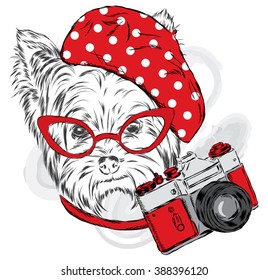 Yorkshire Terrier wearing a beret. Puppy with a camera. Vector illustration.