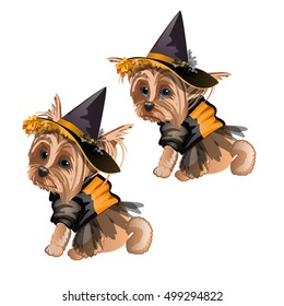 Yorkshire Terrier in witch costume isolated on white background. Cute animated dog in a witch hat. Sketch for greeting card, festive poster or party invitations. The attributes of holiday Halloween. 