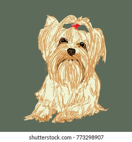 Yorkshire terrier.Portrait of a dog on white background . Symbol of the year 2018. Vector illustration