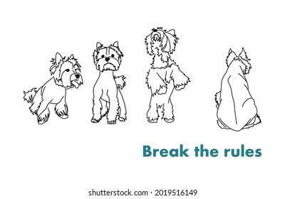 ¡Puedes romper las reglas! Postura inusual del perro. Letras para imprimir en ropa