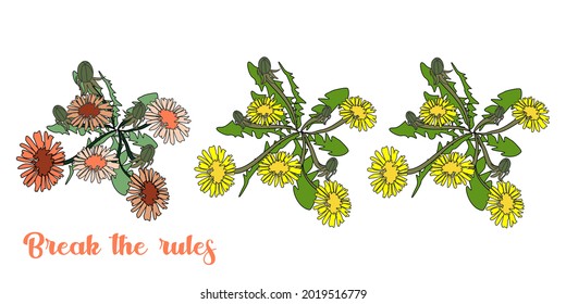 You can break the rules! Unusual pink dandelion color. Lettering for printing on clothes