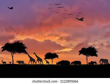 You can use Animals And Wildlife Sunset to design banner, background, poster,...etc.