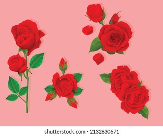 you can use Beautiful red rose vector to design banners, posters, backgrounds,..etc.