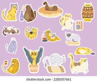 you can use cute sticker cat in different poses isolated on pink background to design banners, posters, backgrounds, print POD...etc.
