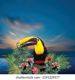 you can use polygonal illustration toucan bird amazon forest plants to design banners, posters, backgrounds, ...etc.