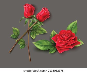 you can use Red rose flower vector on grey background to design banners, posters, backgrounds,..etc.