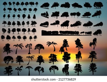 Sie können eine Reihe von Pflanzen und Bäumen mit ihrer Silhouette verwenden, um Banner, den Hintergrund, Plakate,...usw.