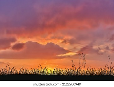 You can use Silhouette of Grass during Sunset  to design banner, background, poster,...etc.