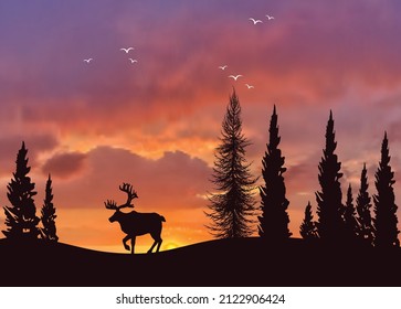 You can use Wildlife landscape with reindeer forest at sunsetto design banner, background, poster,...etc.